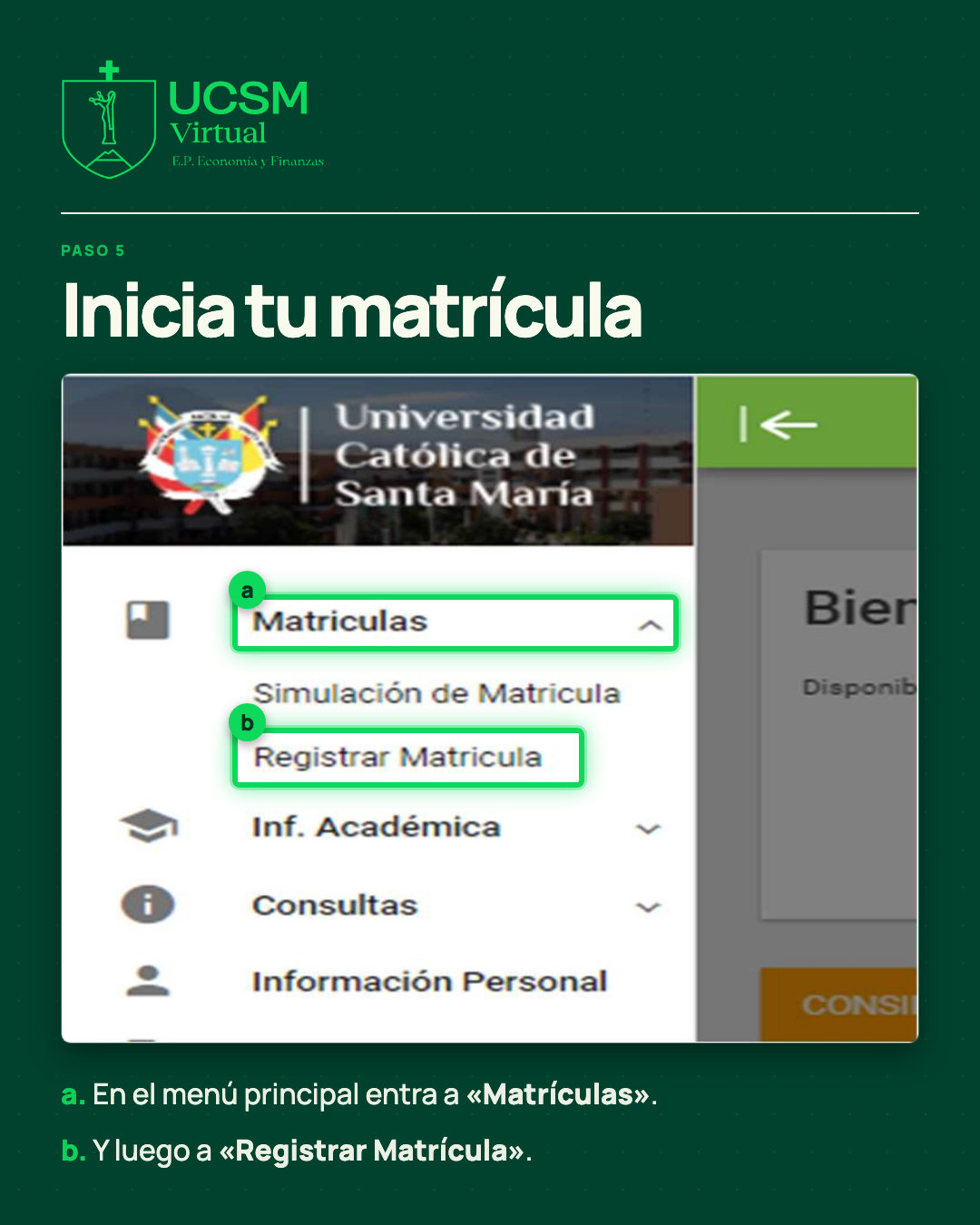 Lámina 6