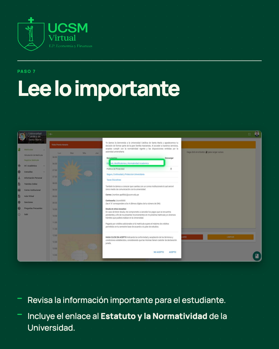 Lámina 8