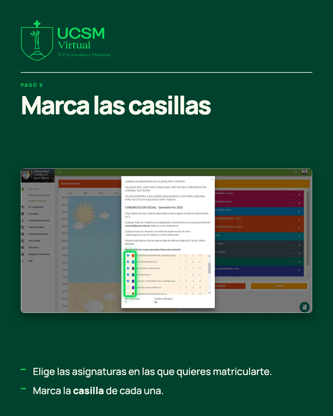 Lámina 11
